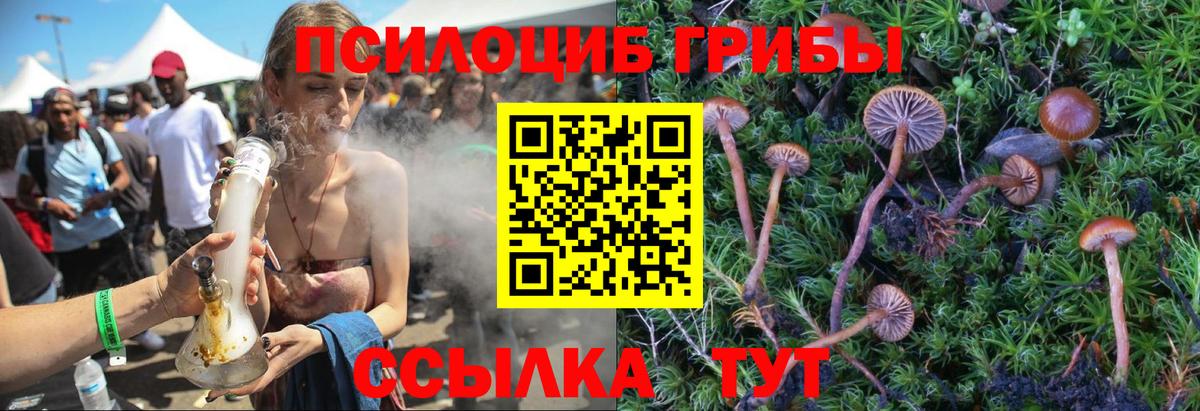 наркотики  Галлюциногенные грибы GOLDEN TEACHER  Галлюциногенные грибы мицелий  Вход с VPN  Сарапул 